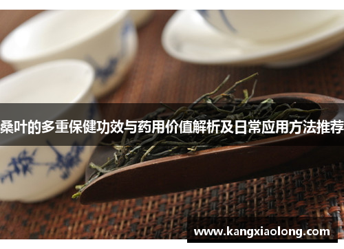 桑叶的多重保健功效与药用价值解析及日常应用方法推荐 桑叶的多重保健功效与药用价值解析及日常应用方法推荐